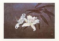 Sawato Fukui, Lilie Sawato Fukui, Lilie