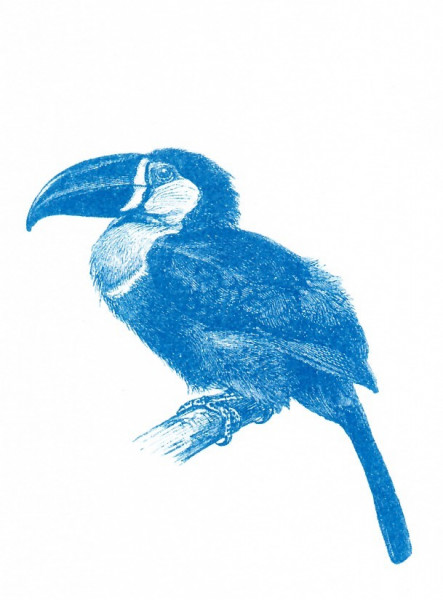 Tukan