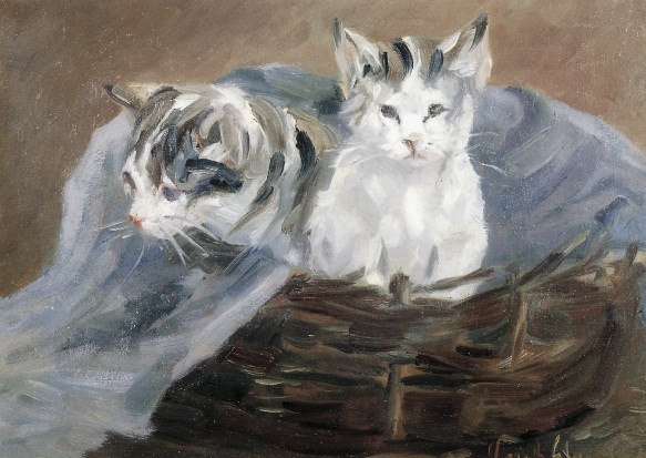 Kurt Glauber, Im Katzenkorb