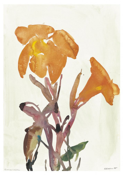 Oskar Koller, Orange Blüten