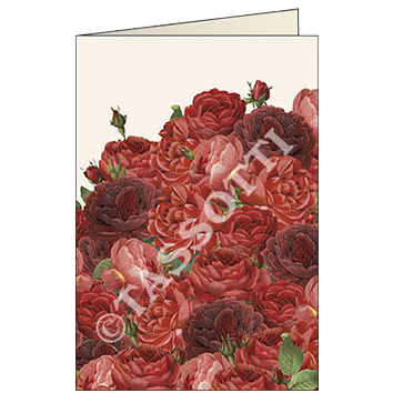 rose rosse